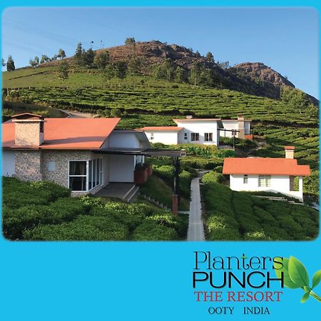Planters Punch Villa Ooty Exteriör bild