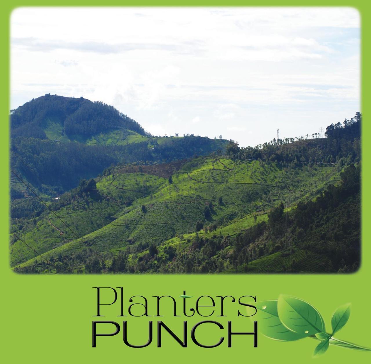 Planters Punch Villa Ooty Exteriör bild
