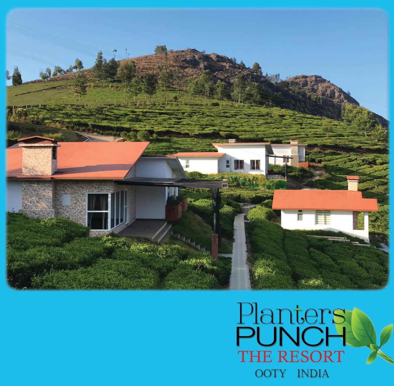 Planters Punch Villa Ooty Exteriör bild