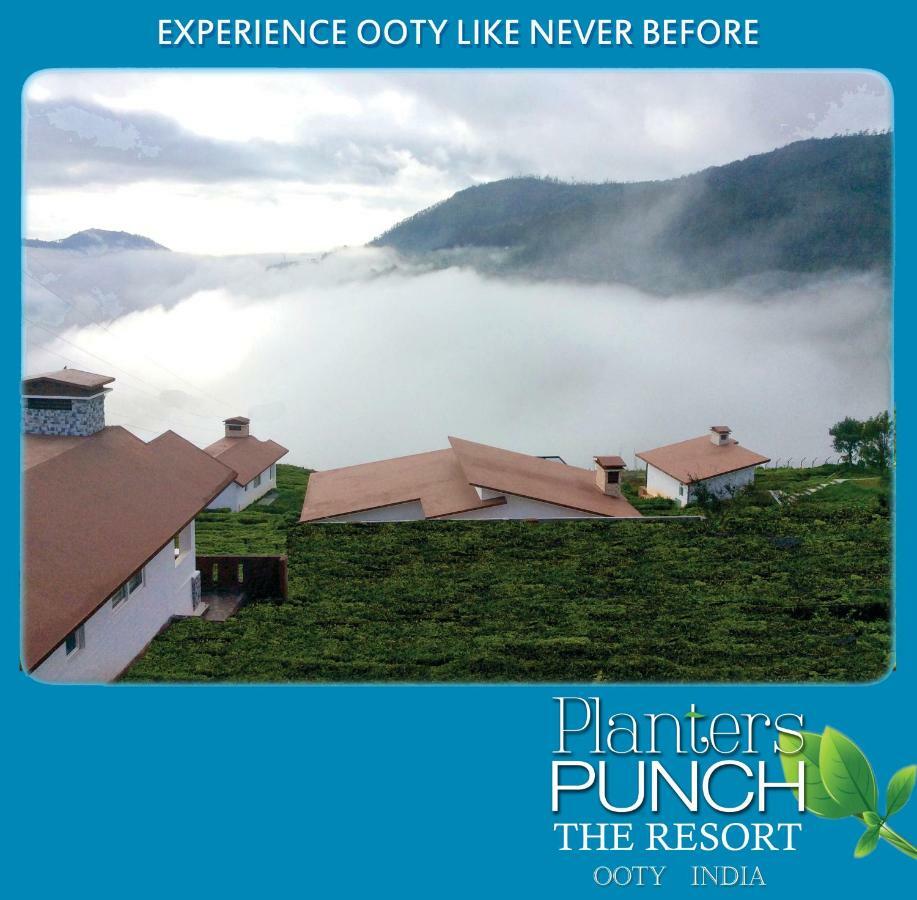 Planters Punch Villa Ooty Exteriör bild