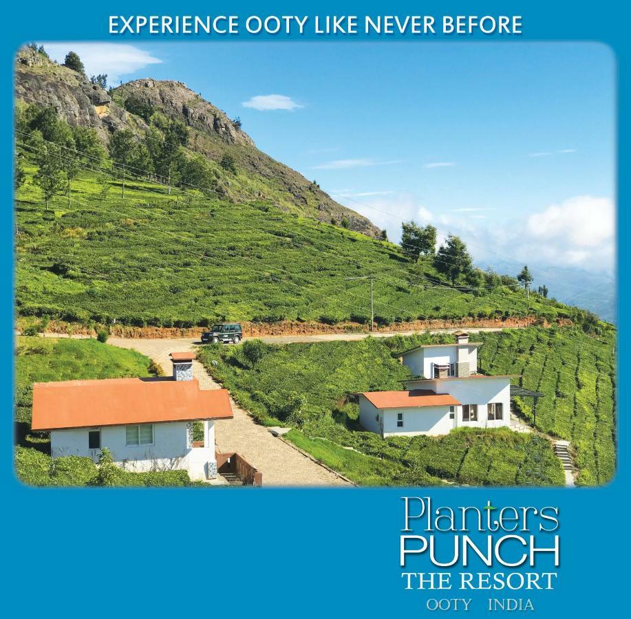 Planters Punch Villa Ooty Exteriör bild
