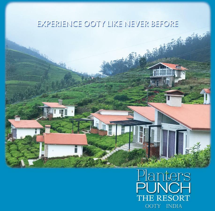 Planters Punch Villa Ooty Exteriör bild