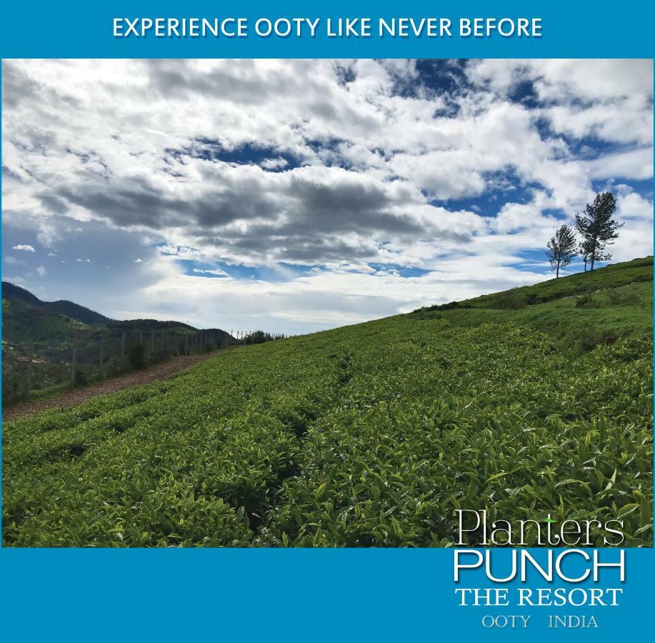 Planters Punch Villa Ooty Exteriör bild