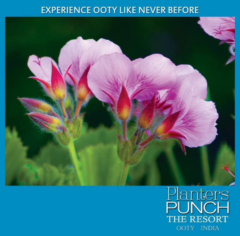 Planters Punch Villa Ooty Exteriör bild
